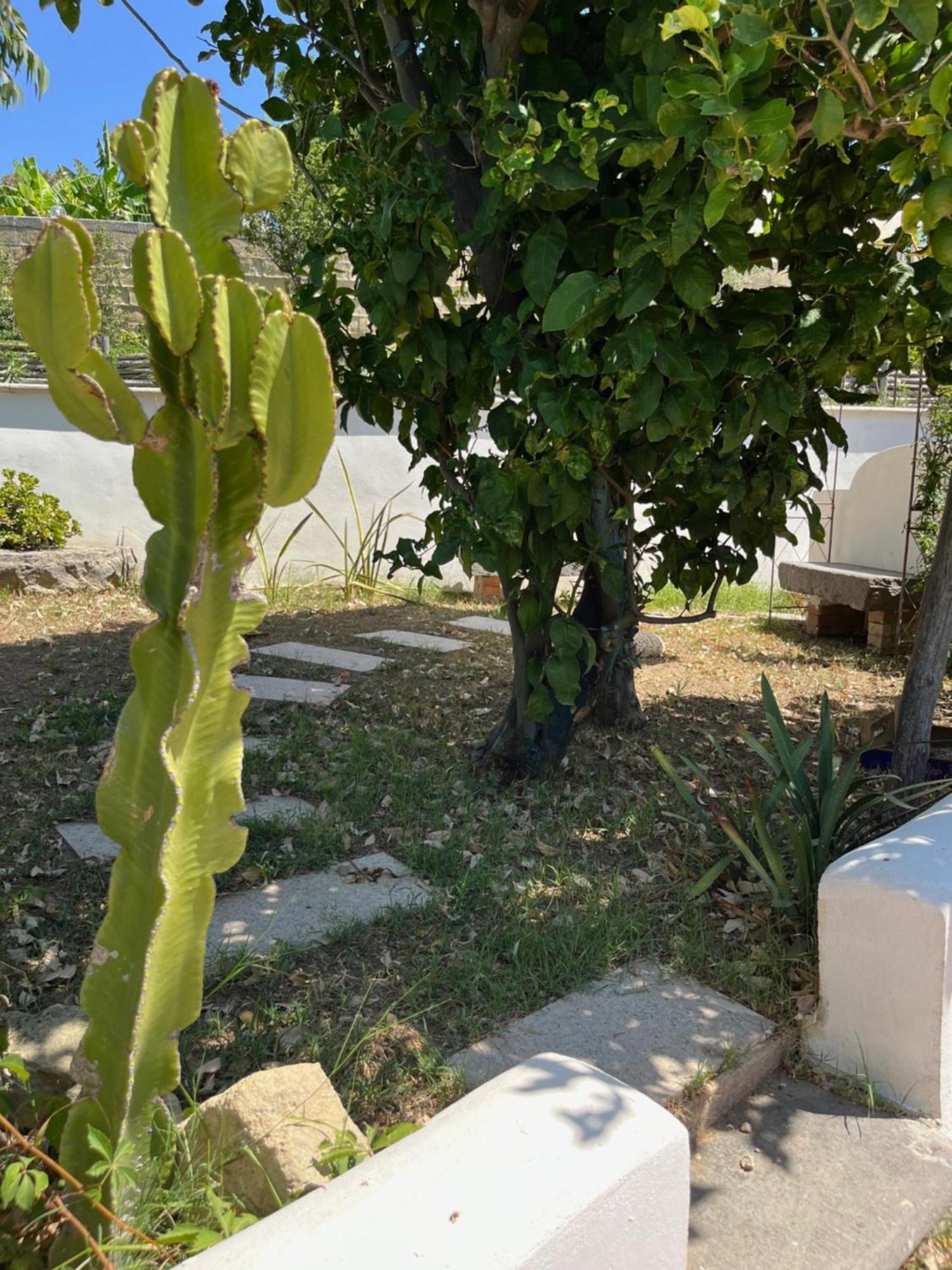 Villa Manni Procida Exterior foto